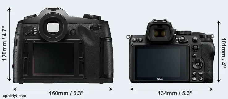 Comparison S Typ 006 or Z5 rear