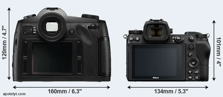 Comparison S Typ 006 or Z6 rear