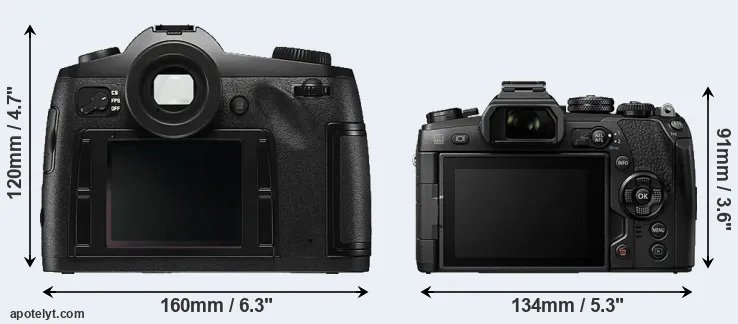 Comparison S Typ 006 or E-M1 II rear