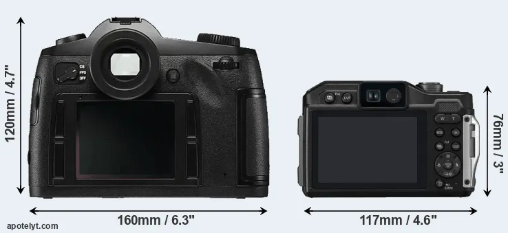 Comparison S Typ 006 or FT7 rear