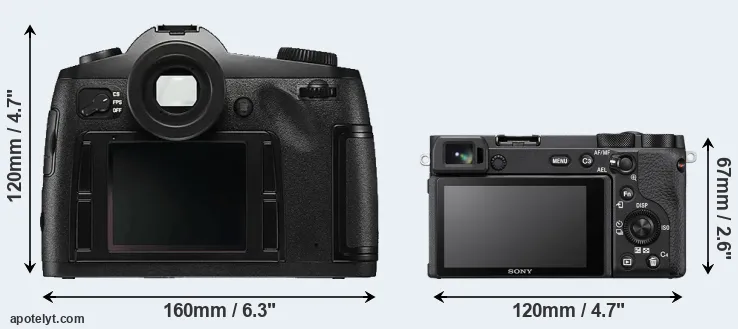 Comparison S Typ 006 or A6600 rear