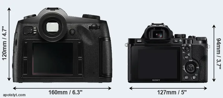 Comparison S Typ 006 or A7R rear