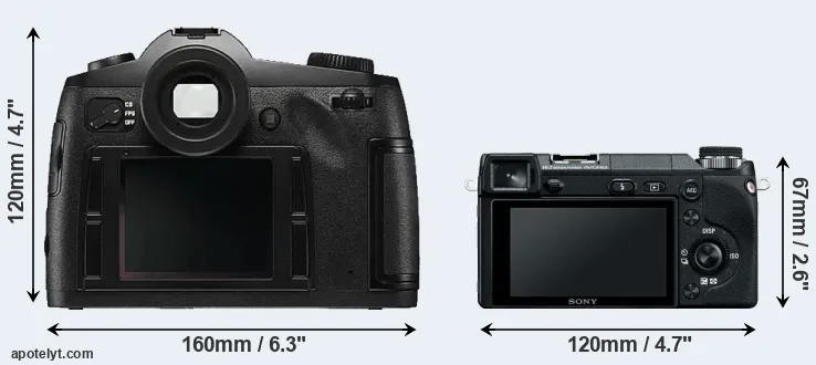 Comparison S Typ 006 or NEX-6 rear