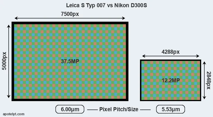 S Typ 007 versus D300S MP