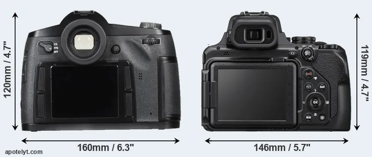 Comparison S Typ 007 or P1000 rear