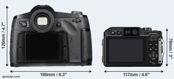 Comparison S Typ 007 or TS7 rear