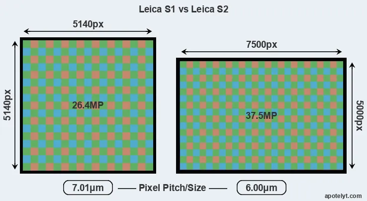 S1 versus S2 MP