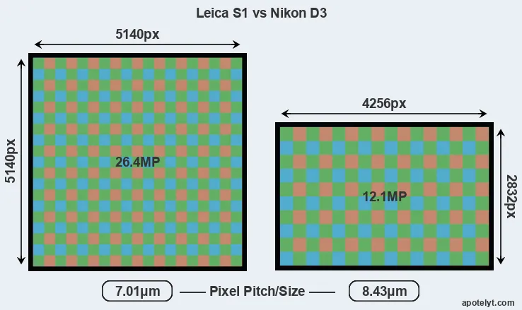 S1 versus D3 MP
