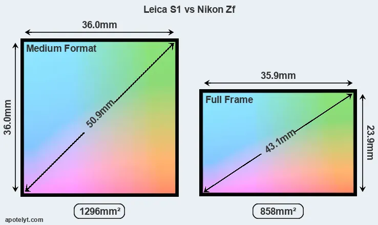Leica S1 and Nikon Zf sensor measures