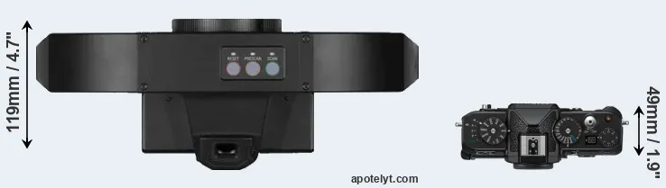 Compare S1 versus Zf top