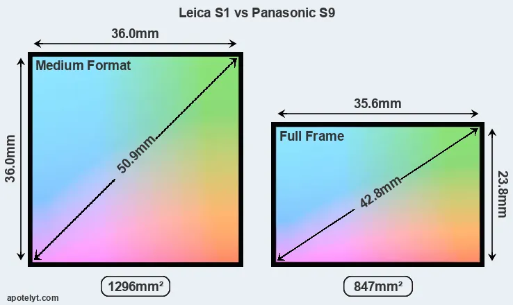 Leica S1 and Panasonic S9 sensor measures