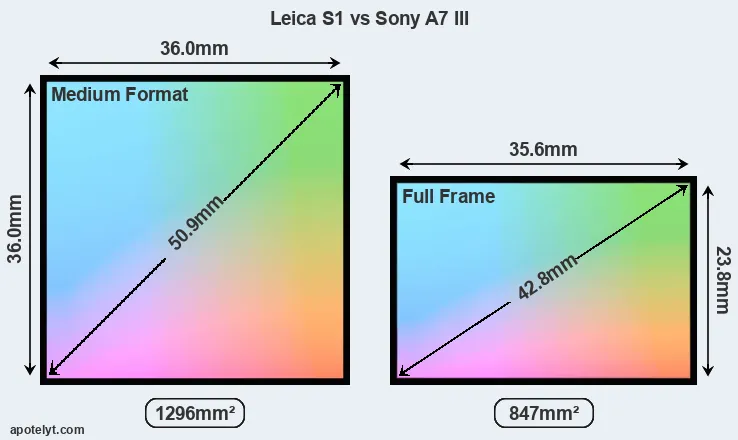 Leica S1 and Sony A7 III sensor measures