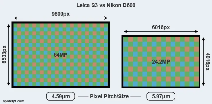 S3 versus D600 MP