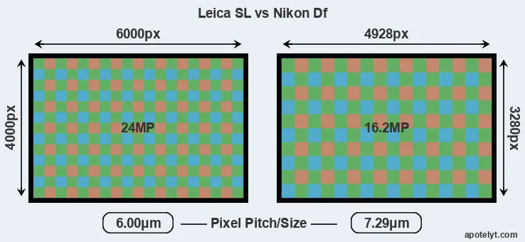 Leica SL versus Df MP