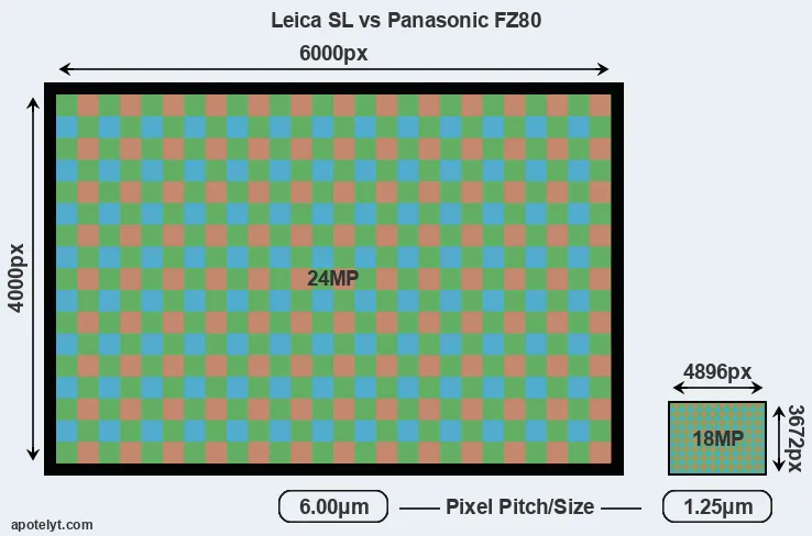 Leica SL versus FZ80 MP