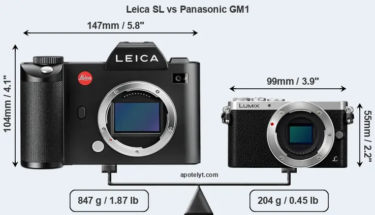 Size Leica SL vs Panasonic GM1