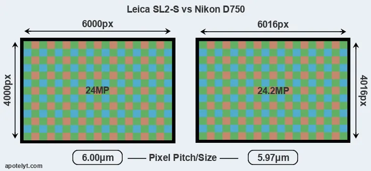 Leica SL2-S versus D750 MP