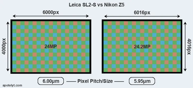 Leica SL2-S versus Z5 MP