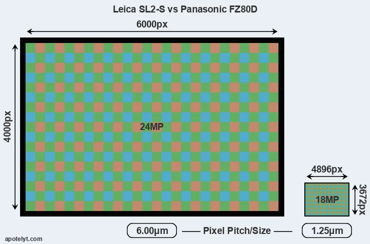 Leica SL2-S versus FZ80D MP