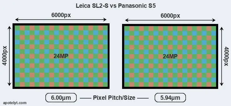 Leica SL2-S versus S5 MP
