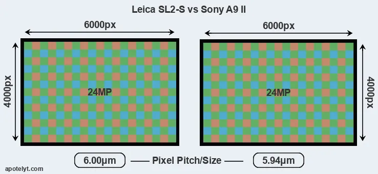 Leica SL2-S versus A9 II MP