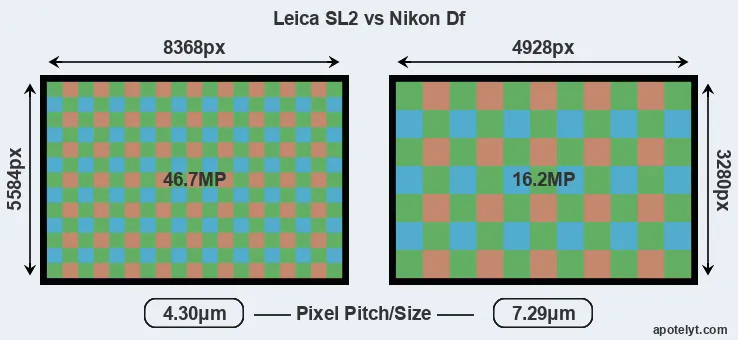 Leica SL2 versus Df MP