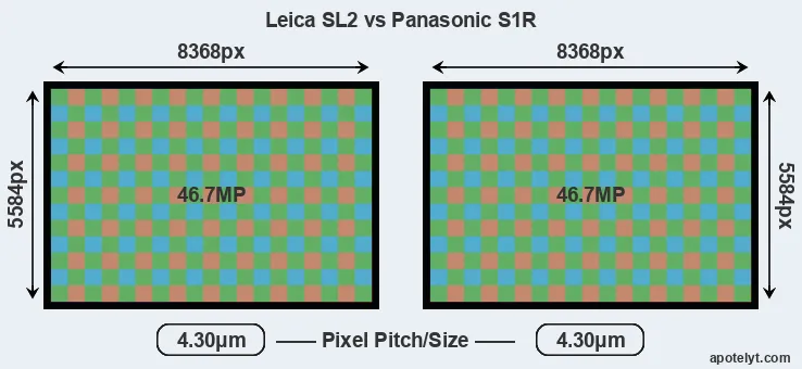 Leica SL2 versus S1R MP