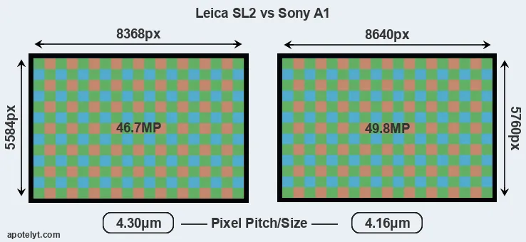 Leica SL2 versus A1 MP