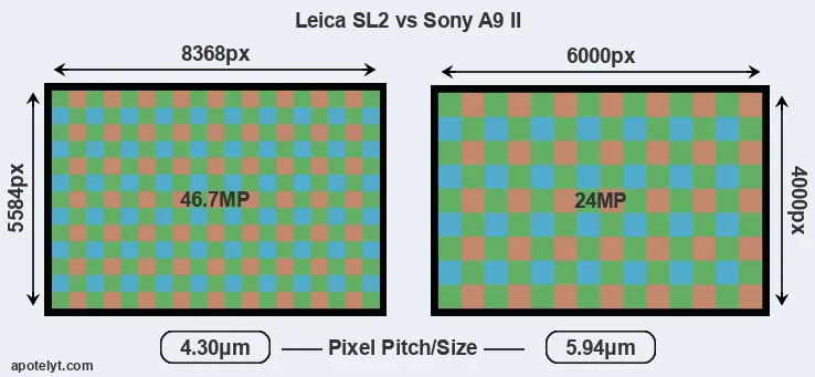 Leica SL2 versus A9 II MP