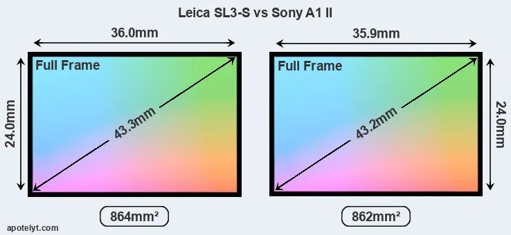 Leica SL3-S and Sony A1 II sensor measures