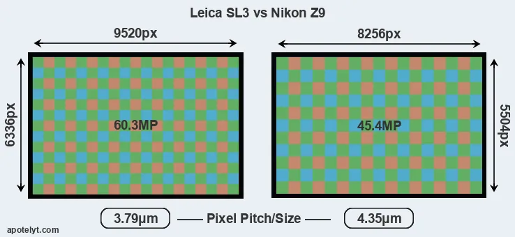 Leica SL3 versus Z9 MP