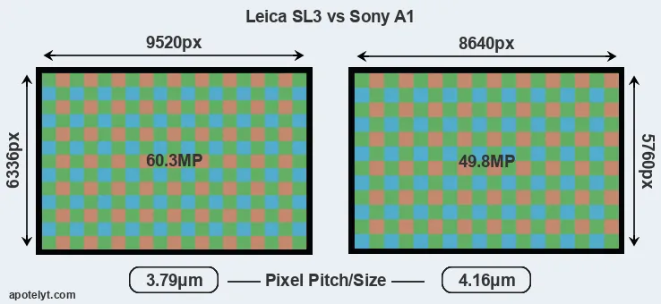 Leica SL3 versus A1 MP