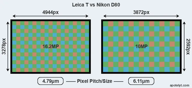 T Typ 701 versus D80 MP