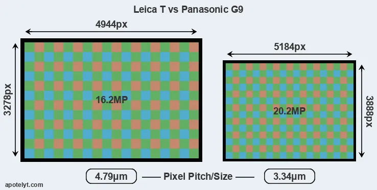 T Typ 701 versus G9 MP