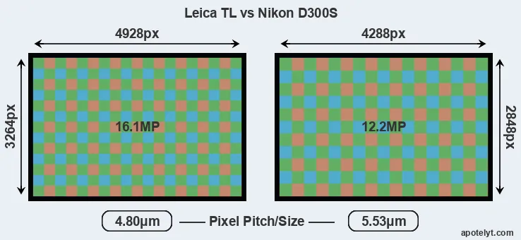 TL versus D300S MP