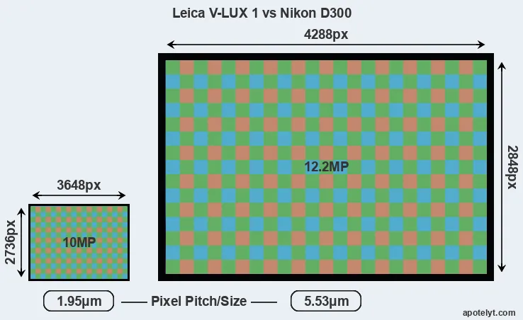 V-LUX 1 versus D300 MP