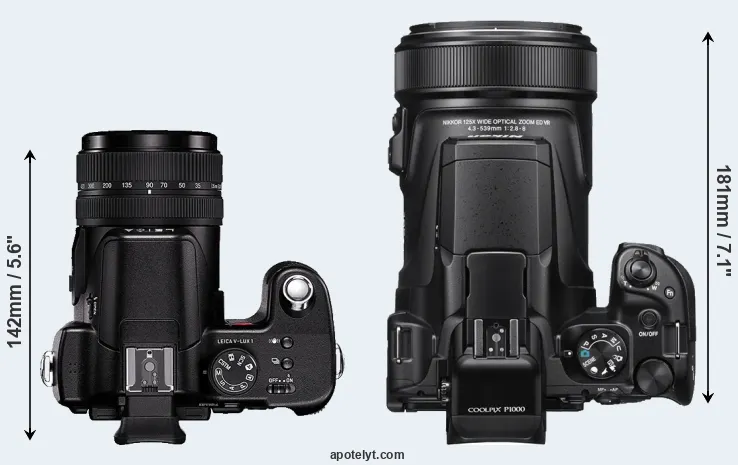 Compare V-LUX 1 versus P1000 top