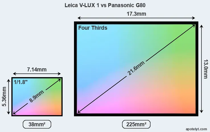 Leica V-LUX 1 and Panasonic G80 sensor measures