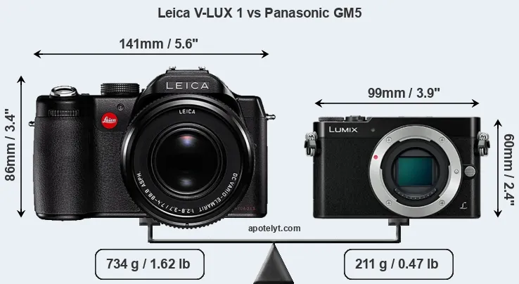 Size Leica V-LUX 1 vs Panasonic GM5