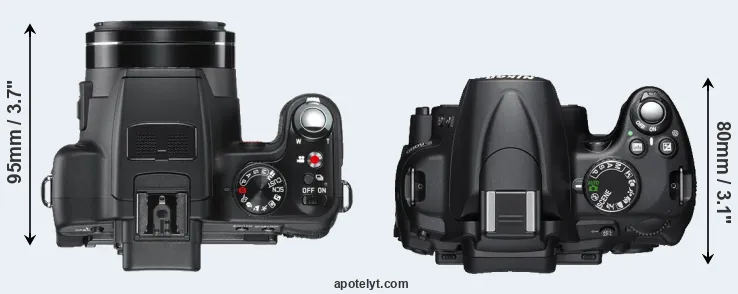 Compare V-LUX 2 versus D5000 top