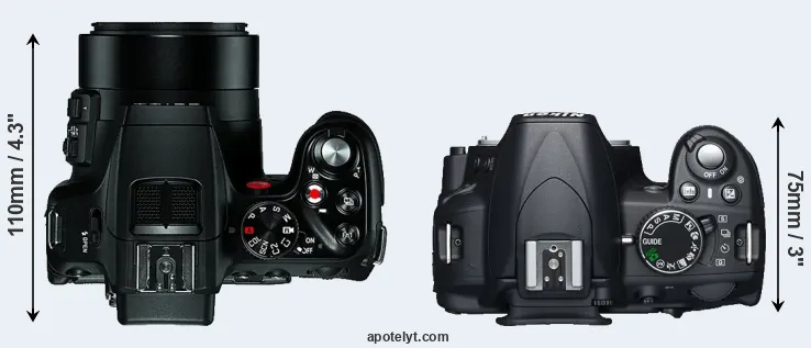 Compare V-LUX 4 versus D3100 top