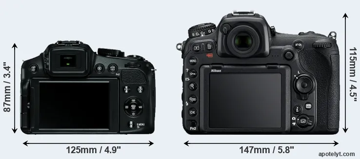 Comparison V-LUX 4 or D500 rear
