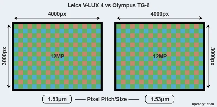 V-LUX 4 versus TG-6 MP