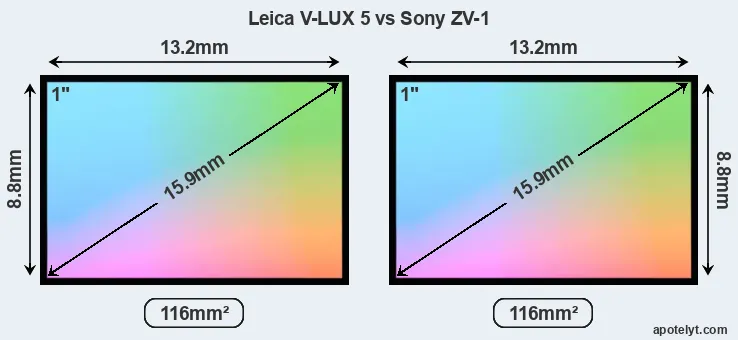 Leica V-LUX 5 and Sony ZV-1 sensor measures