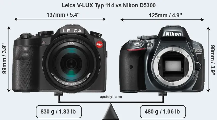 Size Leica V-LUX Typ 114 vs Nikon D5300
