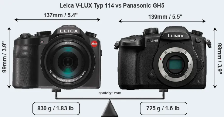 Size Leica V-LUX Typ 114 vs Panasonic GH5