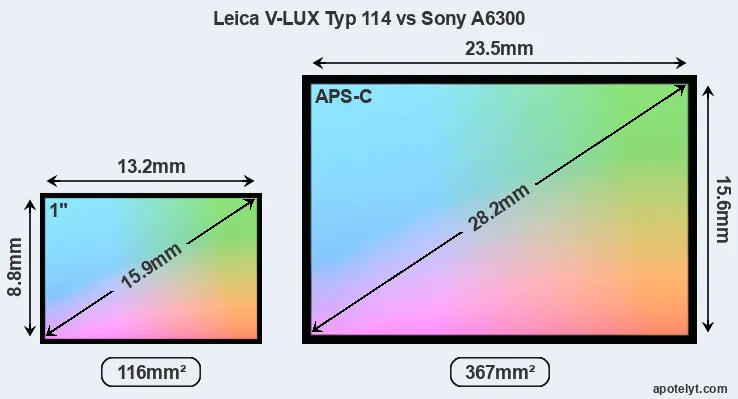 Leica V-LUX Typ 114 and Sony A6300 sensor measures