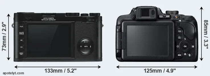 Comparison X Typ 113 or B700 rear