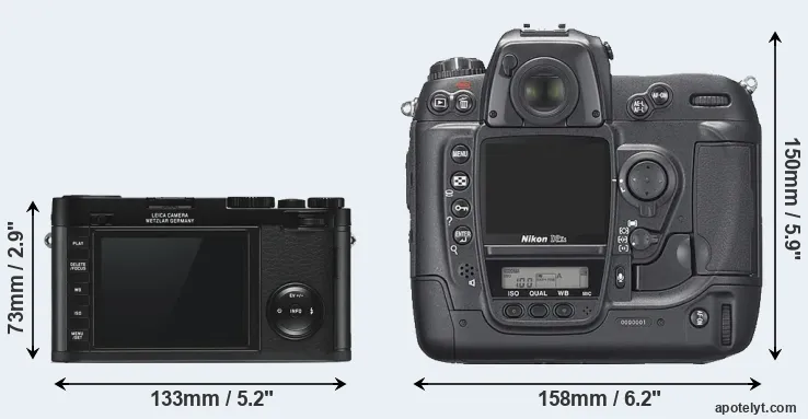 Comparison X Typ 113 or D2Xs rear