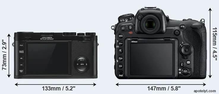 Comparison X Typ 113 or D500 rear